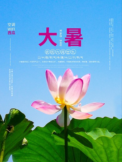 荷花大暑大暑海报夏天海报夏天