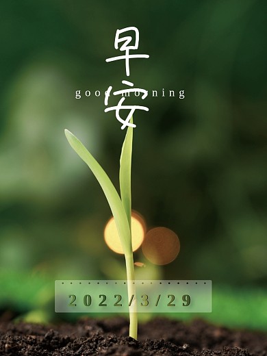 早安绿色植物发芽早上好