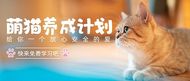 萌猫养成指南宠物喂养知识简约首图