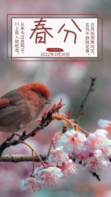 简约大气春天桃花二十四节气春分海报