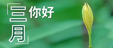 公众号封面三月你好