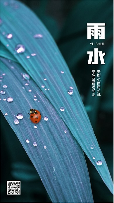 雨水节气清新简约摄影节气手机海报