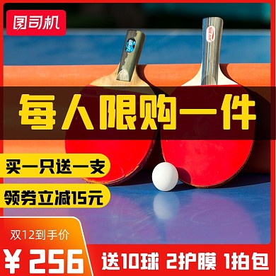 兵乓球拍双十二促销打折主图