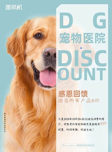 宠物清新简约医院优惠宣传海报
