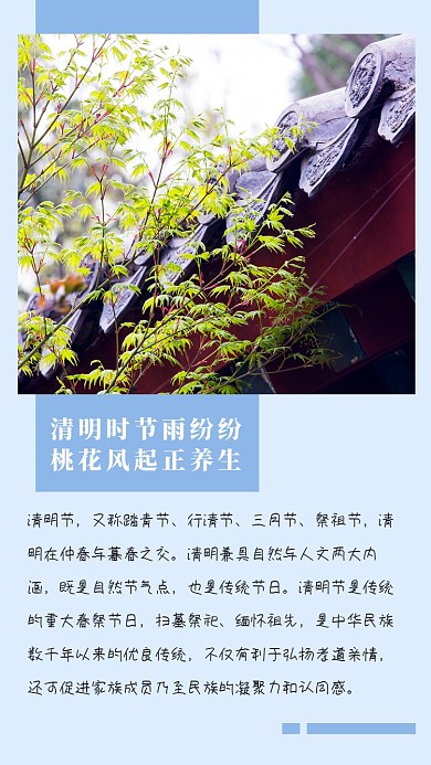 清明节介绍浅蓝色文艺清新竖版配图