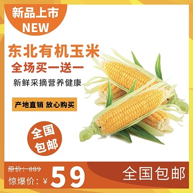 玉米食品淘宝直通车图片