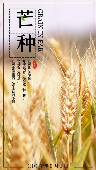 芒种二十四节气开屏页