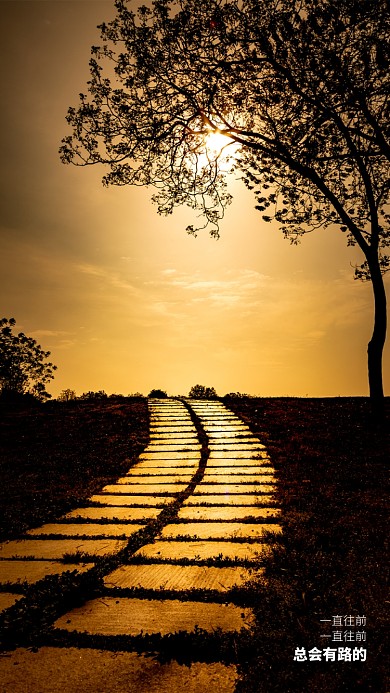 现代简约大气摄影图片个性签名手机壁纸海报