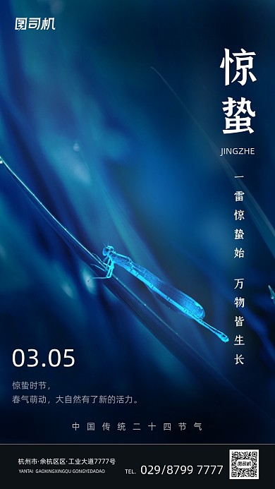 惊蛰节气深色质感大气手机海报