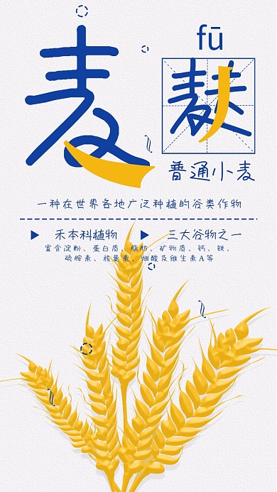 小麦科普知识麦穗手机海报配图