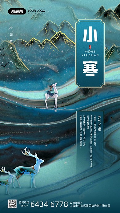 小寒节气国潮风纹理质感宣传手机海报