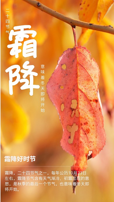 霜降传统节气宣传手机海报