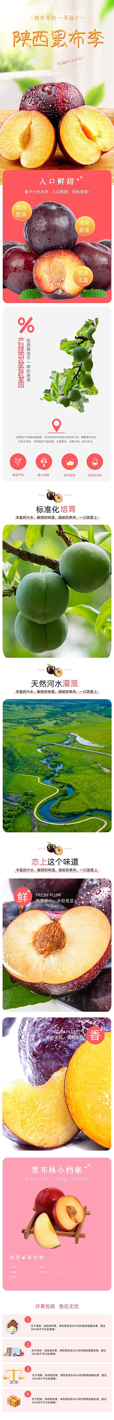 清新水果李子香甜食品详情页