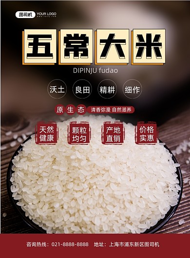 大米写实风五常大米宣传印刷海报
