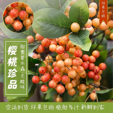 樱桃果园生鲜水果主图模板