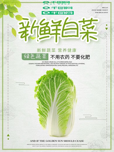 绿色简约清新食品蔬菜健康白菜海报设计