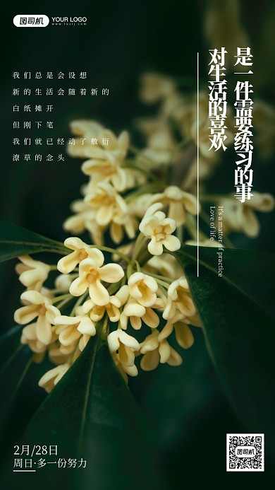 植物摄影励志手机海报