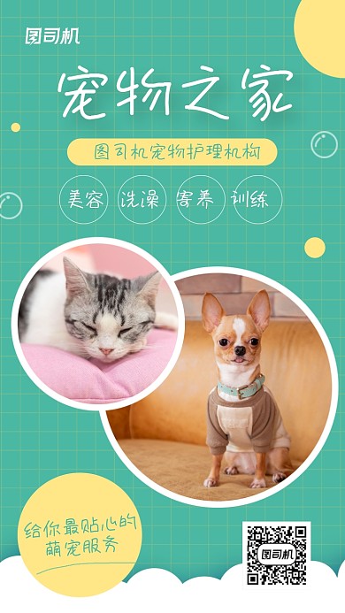 宠物寄养宠物美容绿色可爱简约手机海报