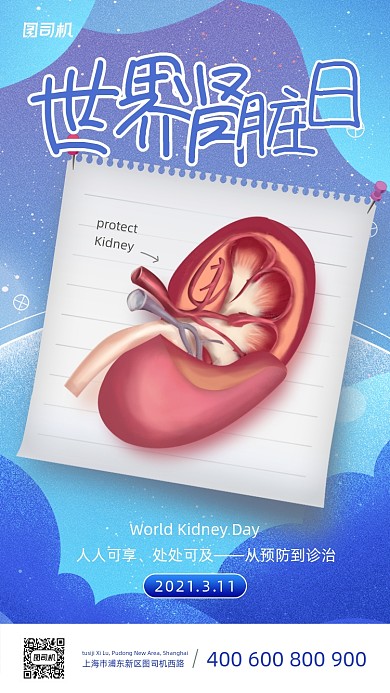 世界肾脏日手绘插画手机海报