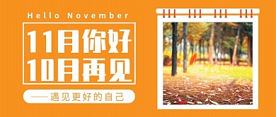 11月你好公众号首图