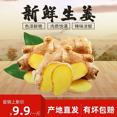 新鲜生姜产地直发有坏包赔简约促销主图