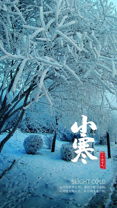 蓝色杂志风节气小寒手机海报