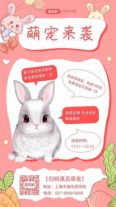 萌宠兔子宠物宣传插画手机海报