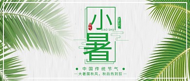 简约绿色清新小暑公众号封面设计