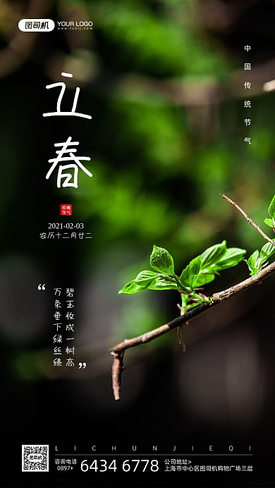 立春节气树叶摄影图宣传手机海报