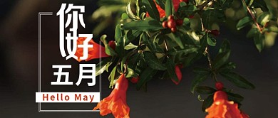 小清新你好五月微信用图