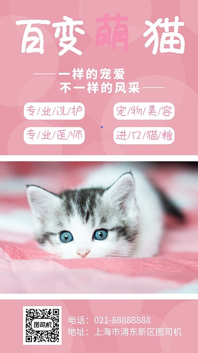 粉色宠物店手机海报模板