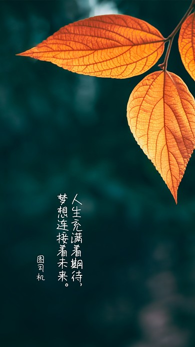 创意简约团队励志文化聊天背景图