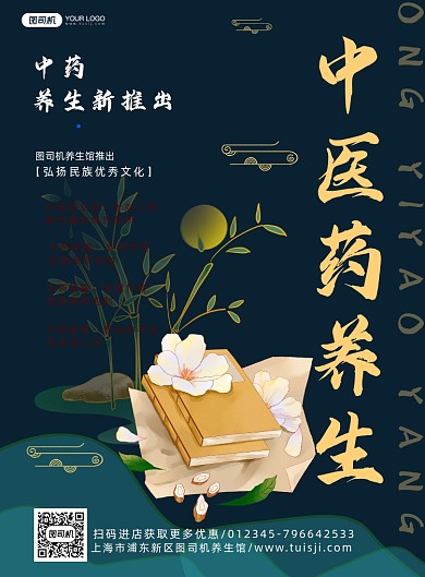 中医养生国风宣传海报