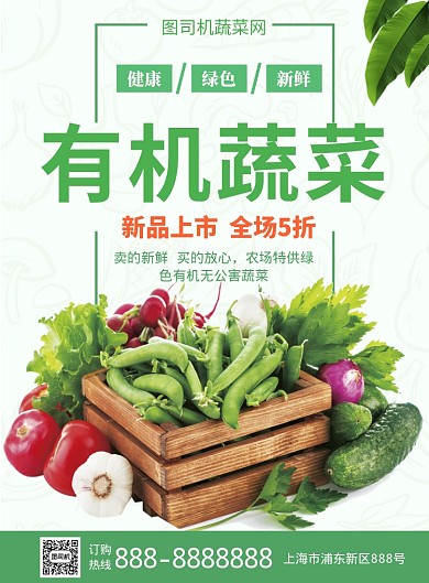 绿色有机蔬菜新品上市促销海报