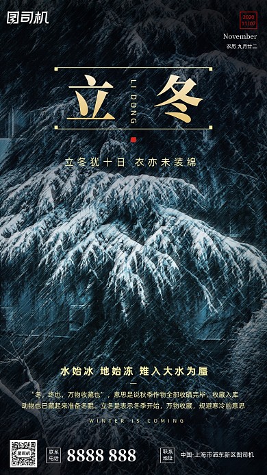 立冬节气摄影图柏树冰雪简约手机海报