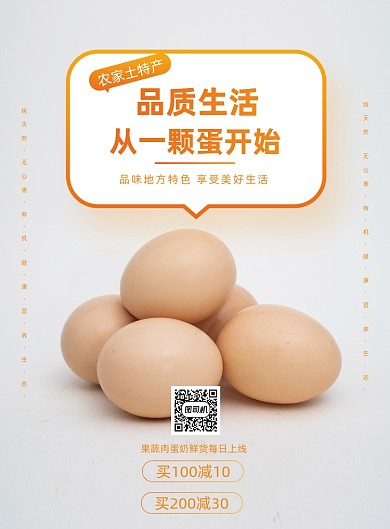 简约农家土特产土鸡蛋促销印刷海报