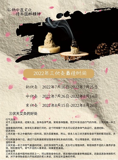 高清三伏天艾灸单页宣传单