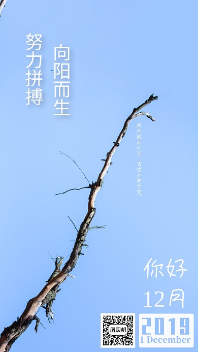 蓝色简约摄影图月签海报