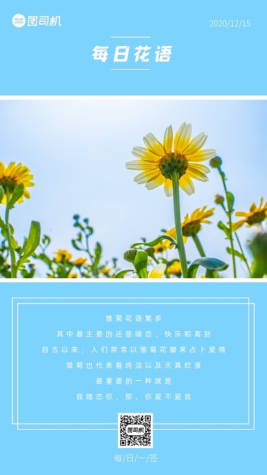 小清新雏菊每日花语手机海报
