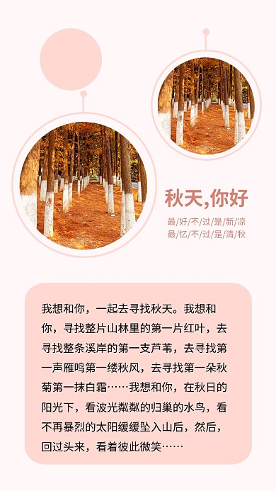 简约秋天你好旅游出行文章配图
