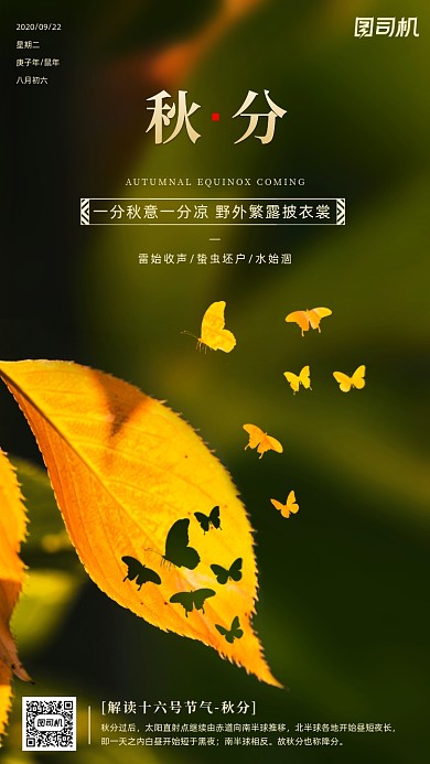传统节气秋分手机海报