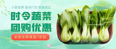 时令蔬菜团购优惠