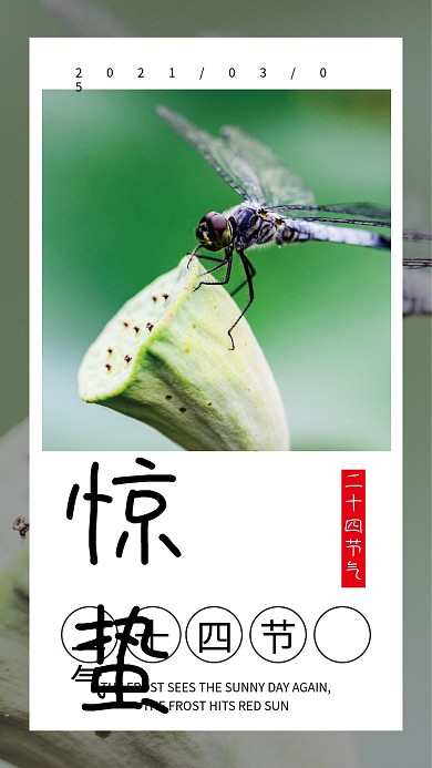 惊蛰手机壁纸海报二十四节气