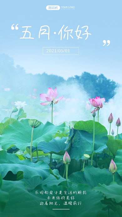 古风荷花实景日签手机海报