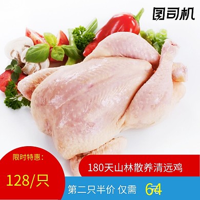 简约农家散养土鸡乌鸡鸡肉电商主图直通车