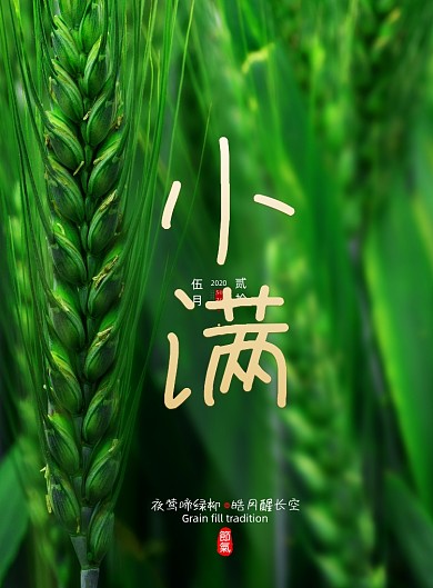 小清新传统节日小满海报