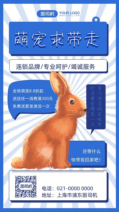 萌宠兔子宠物宣传插画手机海报