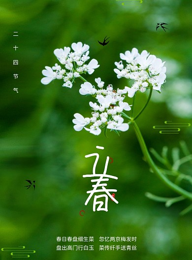 简约风春季立春节气海报