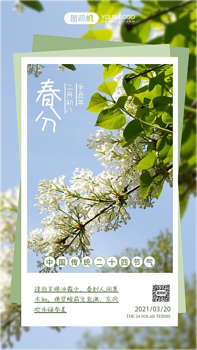 春分二十四节气绿色摄影图手机海报