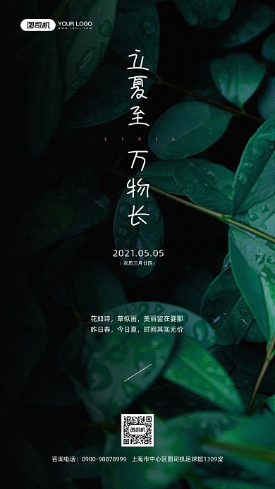 立夏节气绿色植物摄影图宣传手机海报